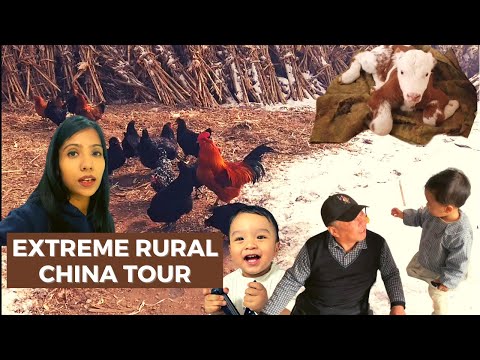 印度女孩：我们在中国农村走亲访友